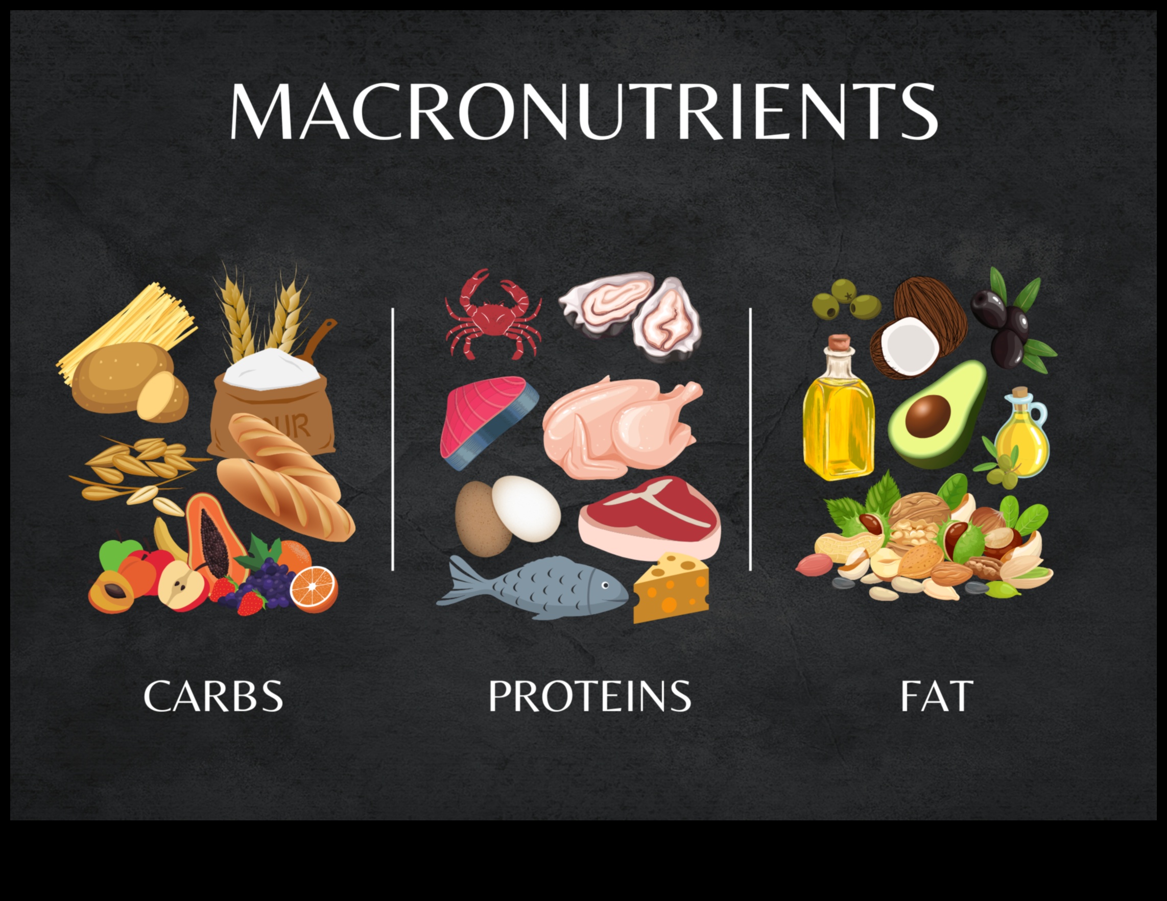Macronutrienți esențiali 101: Un ghid pentru începători pentru bunăstare