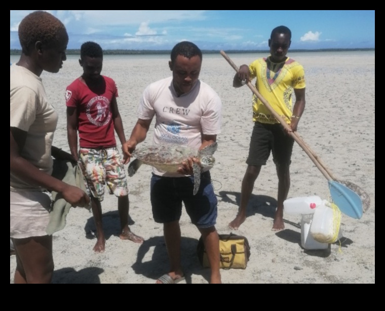 Coastal Conservation Warriors: Eforturi pentru a proteja ecosistemele marine