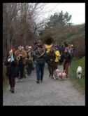 Puppy Play Parade Marching Band Fun for Dogs